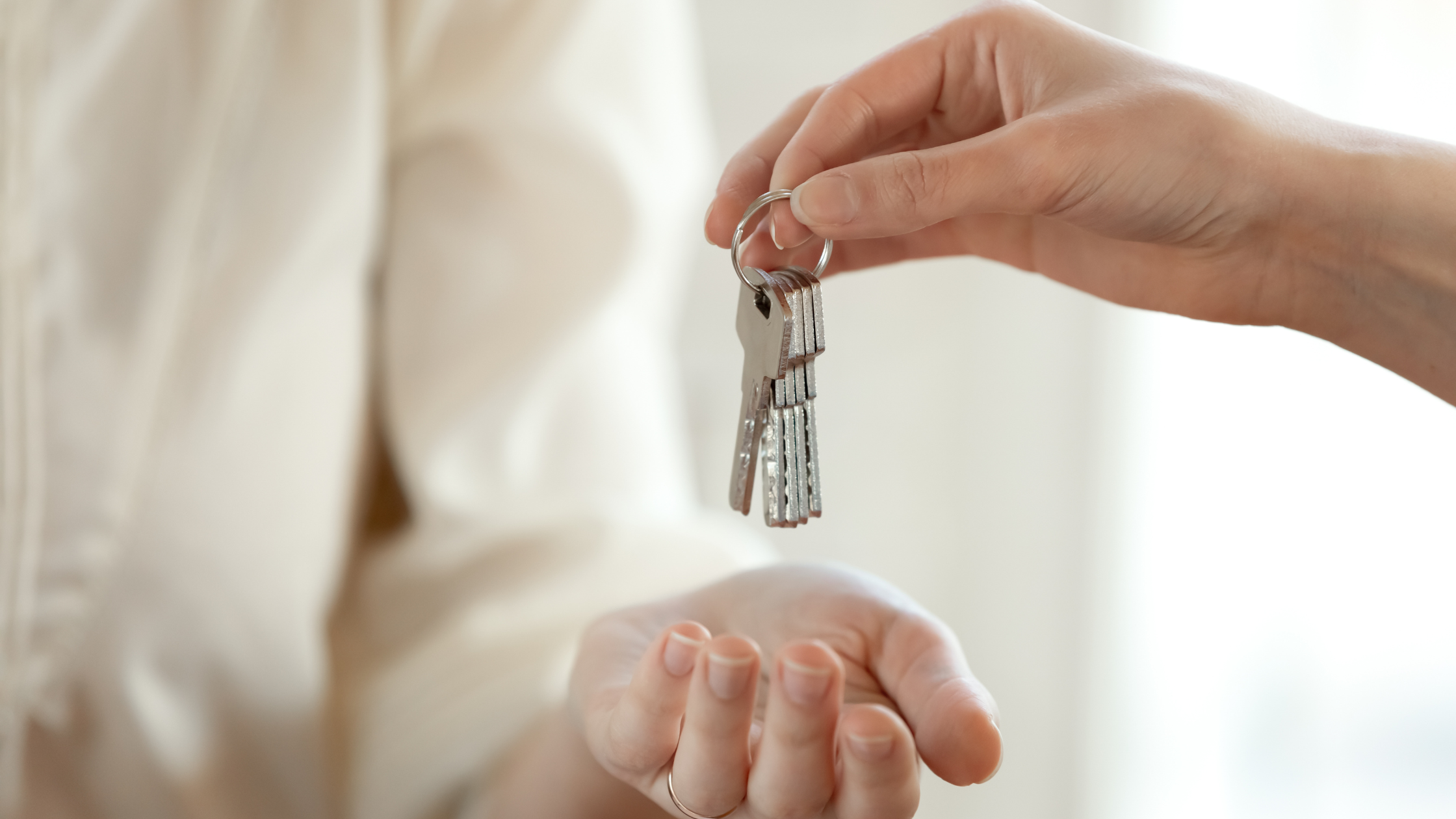 renting? here's how to keep your place clean all year round