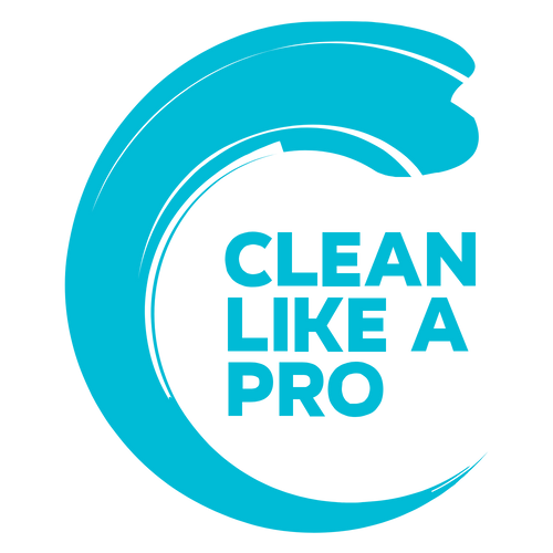 Clean Like A Pro logo