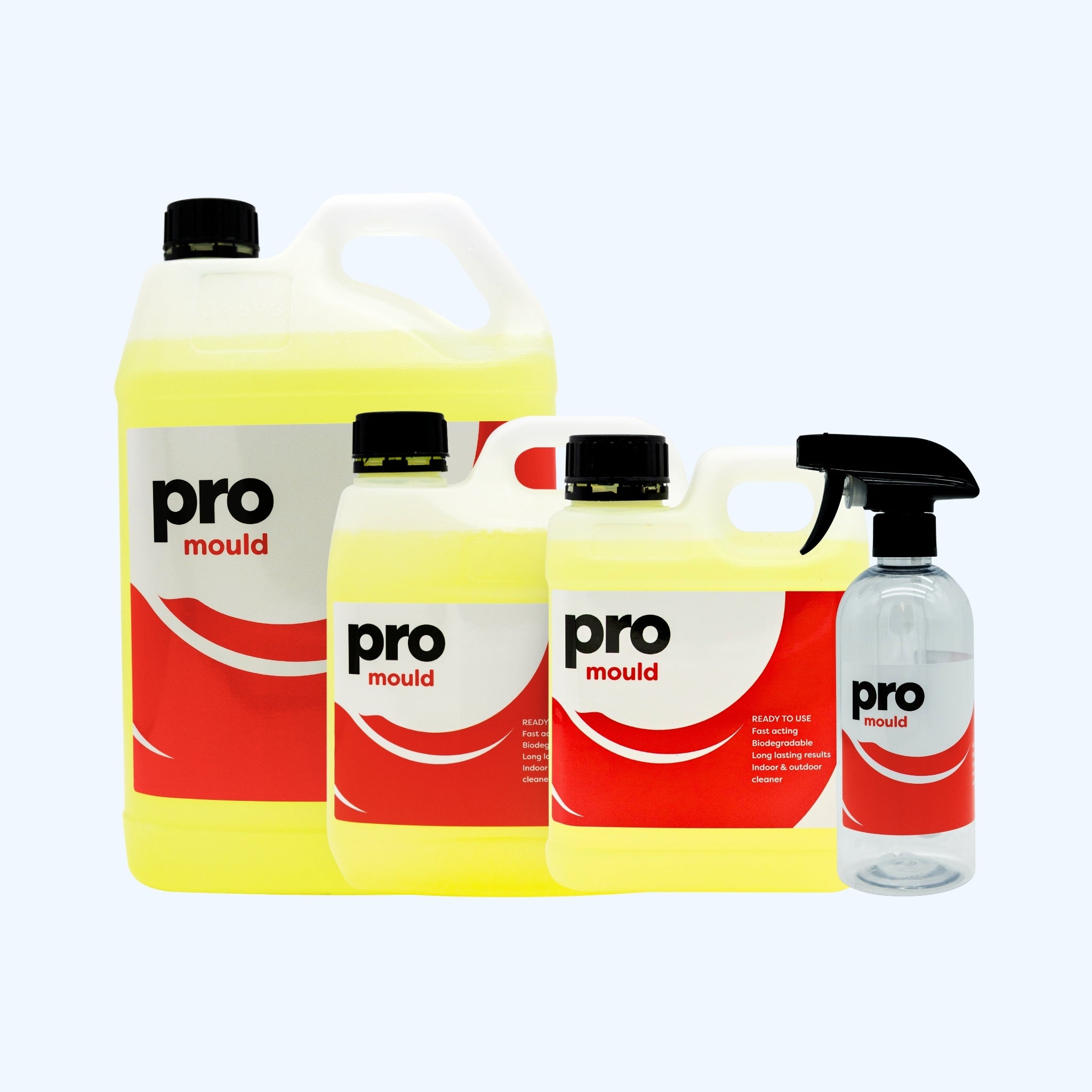 PRO Mould READY TO USE